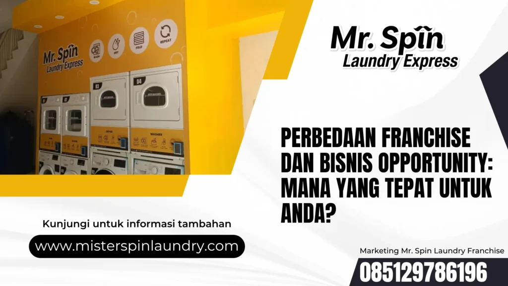 mr. spin franchise laundry
